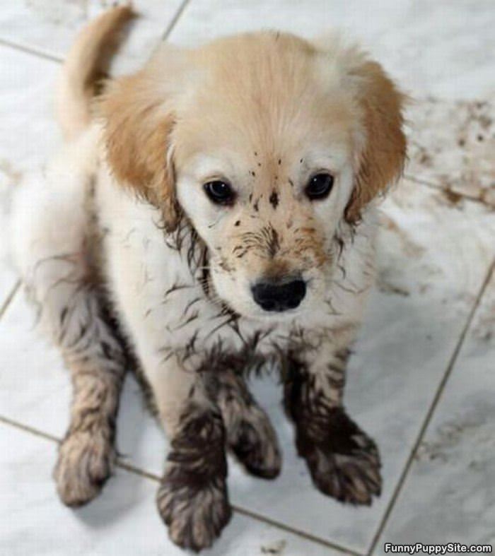 I Made A Little Mess