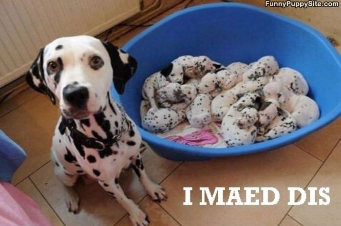 I Maed Dis