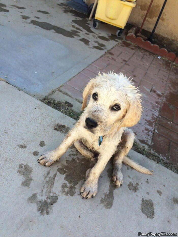 I Want More Water Please