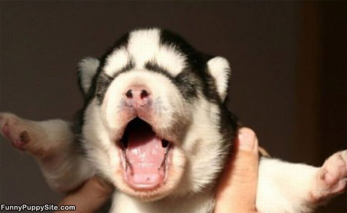 I Want My Mommy
