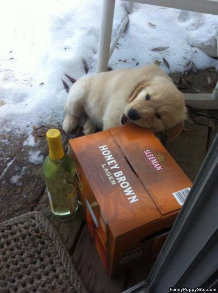 I Want One Of These