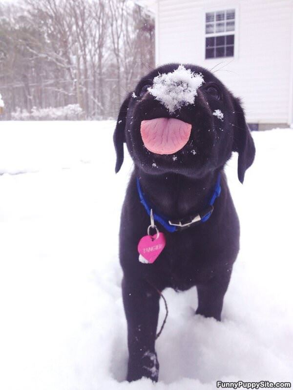 I Want This Snow