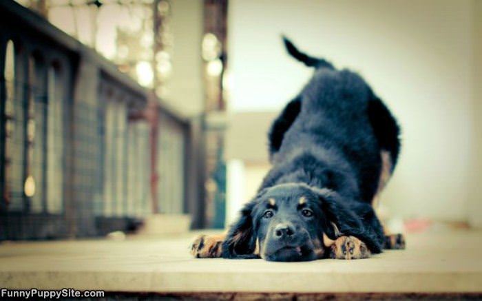 I Want To Play Right Now