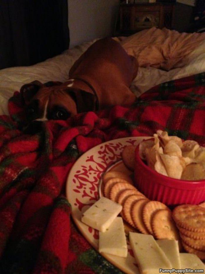 I Wants Da Cheese