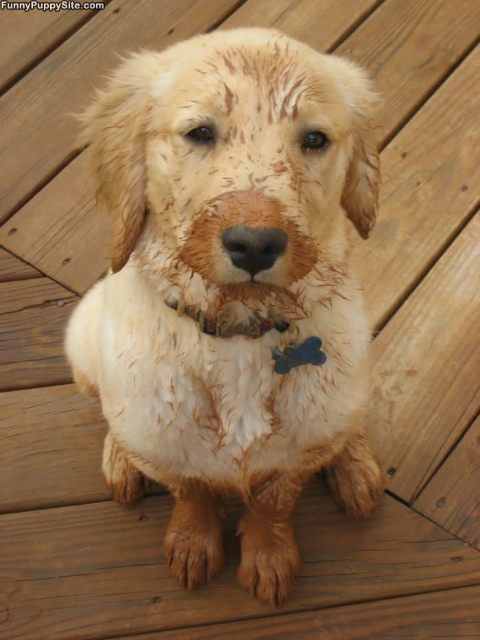 I Was Playing In The Mud