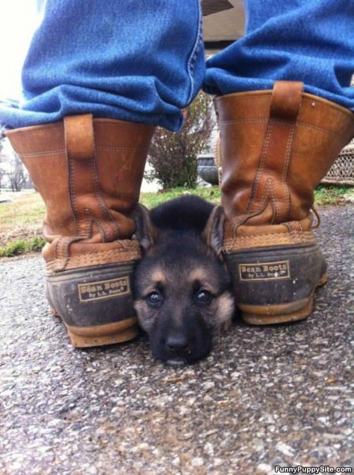 I Will Hide Here