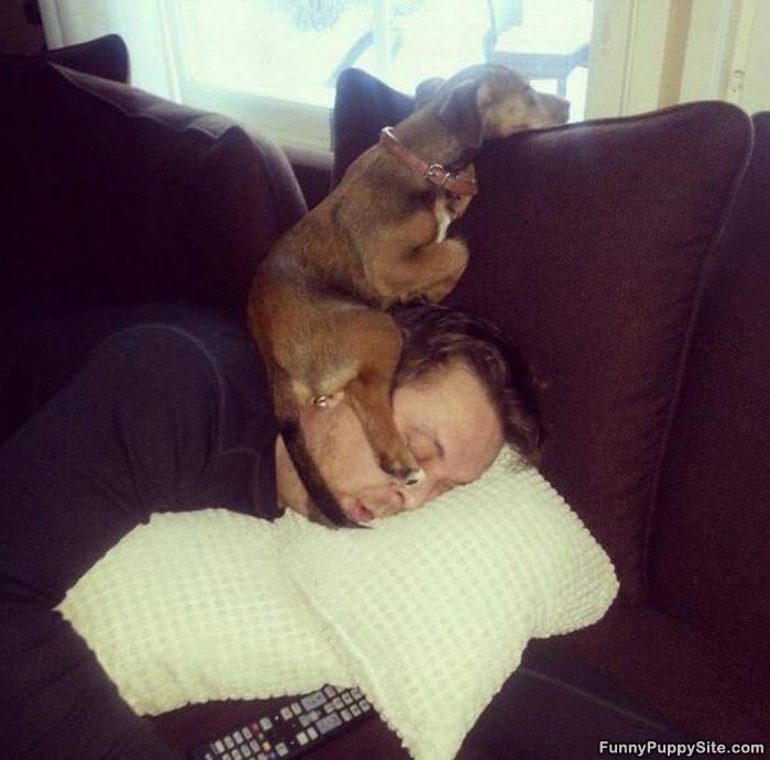 I Will Just Sleep Here