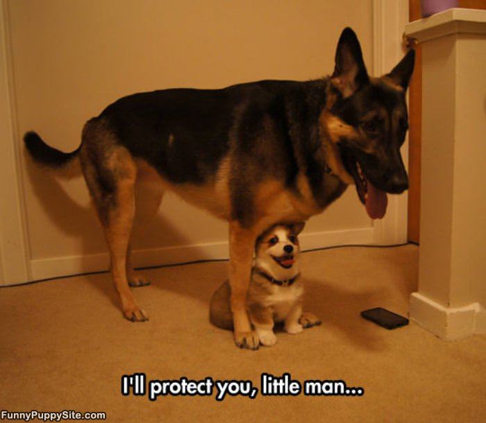 Ill Protect You
