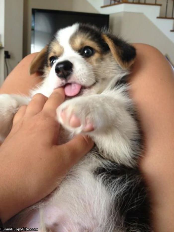 Im Going To Eat Your Finger