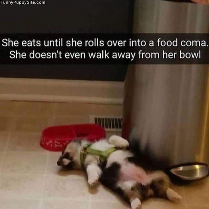 In A Little Food Coma