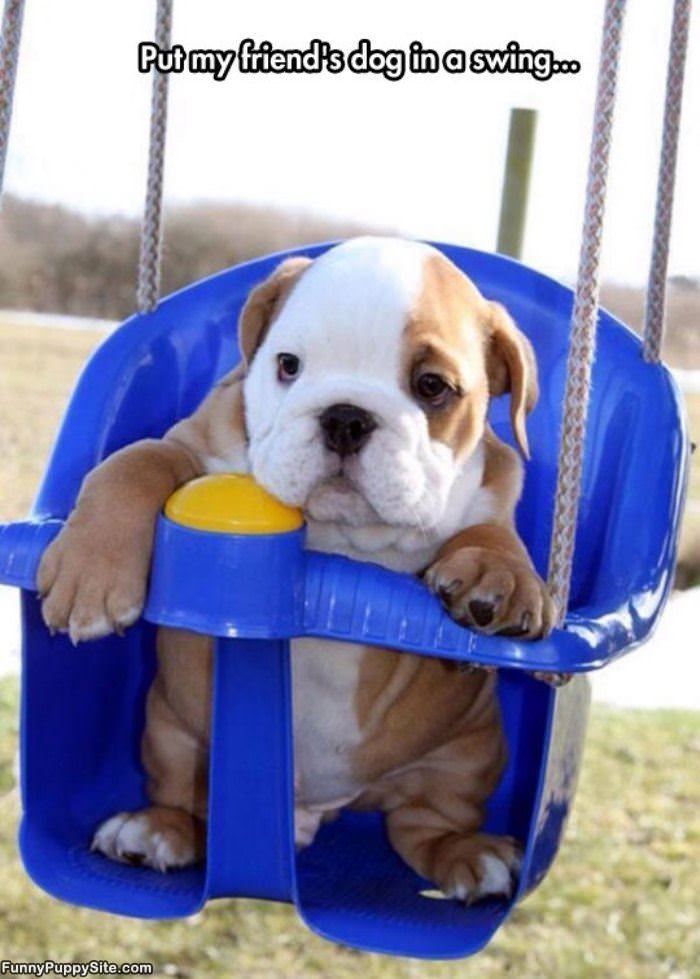 In A Swing