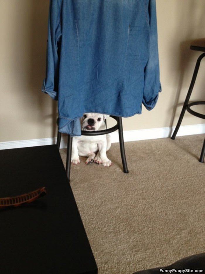 In My Fort