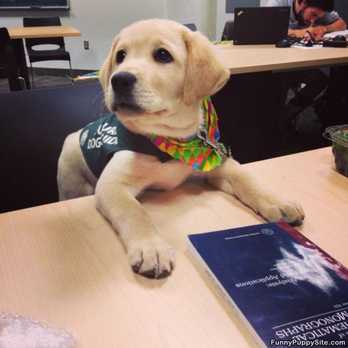 Is It Lunch Yet