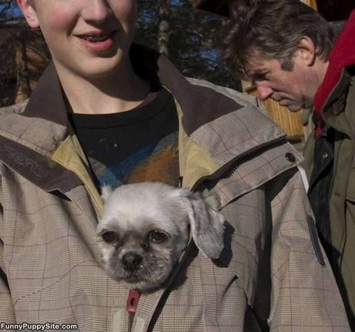 Its Cold