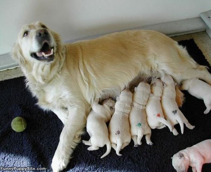Its Feeding Time