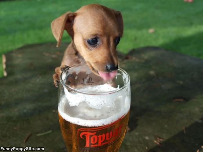 Just A Little Sip