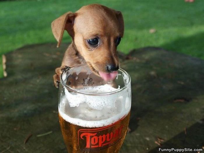 Just A Sip Please
