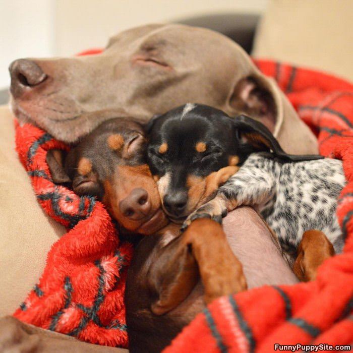 Keeping All Warm