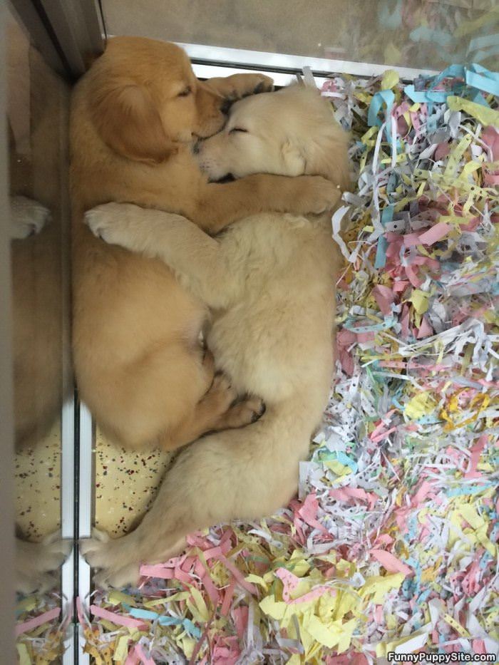 Keeping Each Other Warm