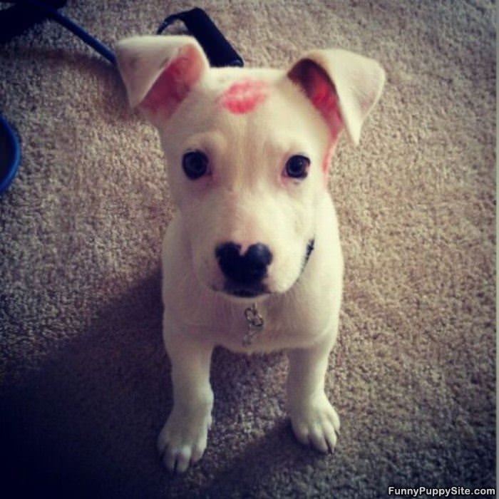 Kissed My Head