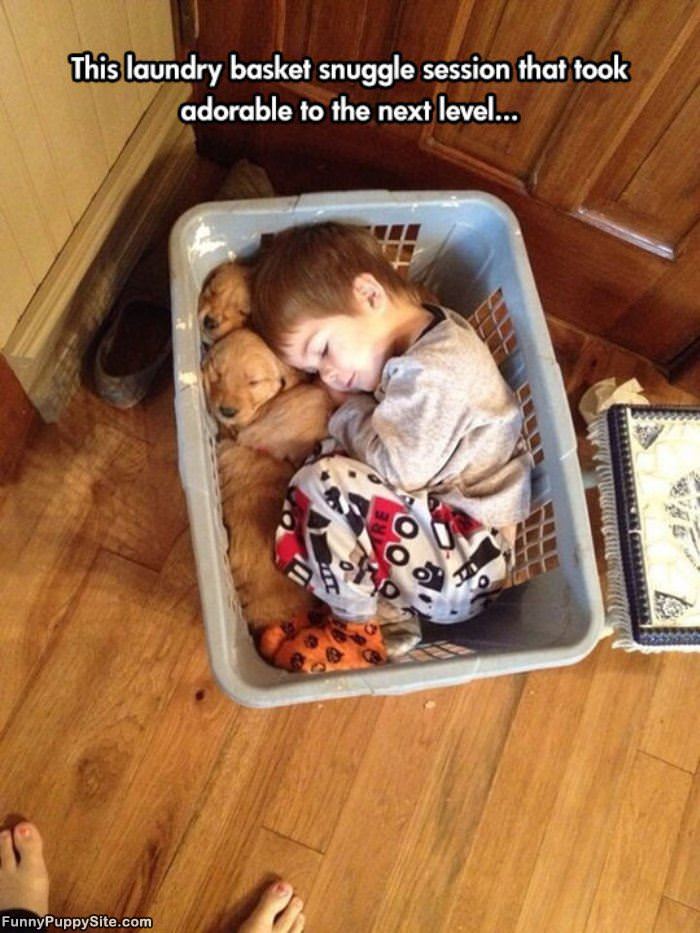 Laundry Basket Snuggle Session