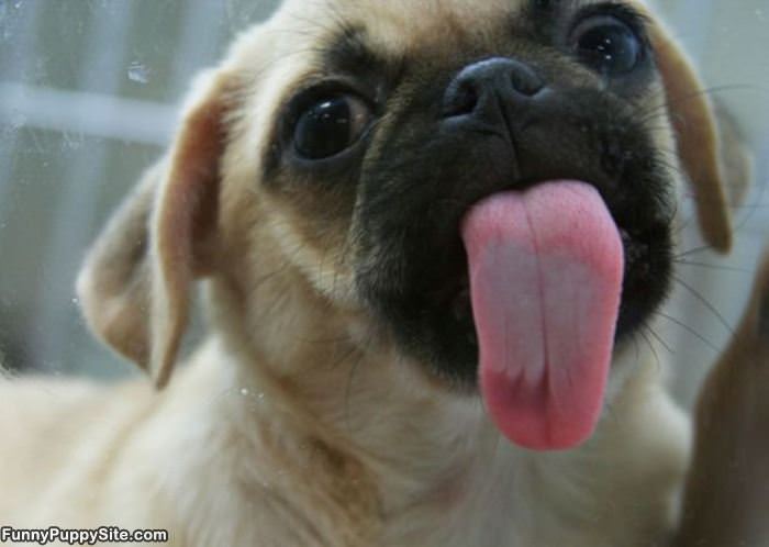Liiiiiiiickkkkkkkkkkkkk