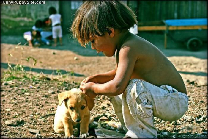 Little Boy And Puppy