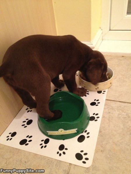 Loves Water Loves Food