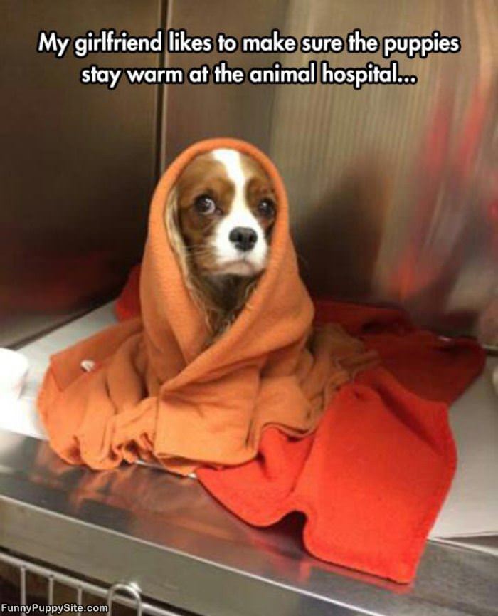 Make Sure They Stay Warm