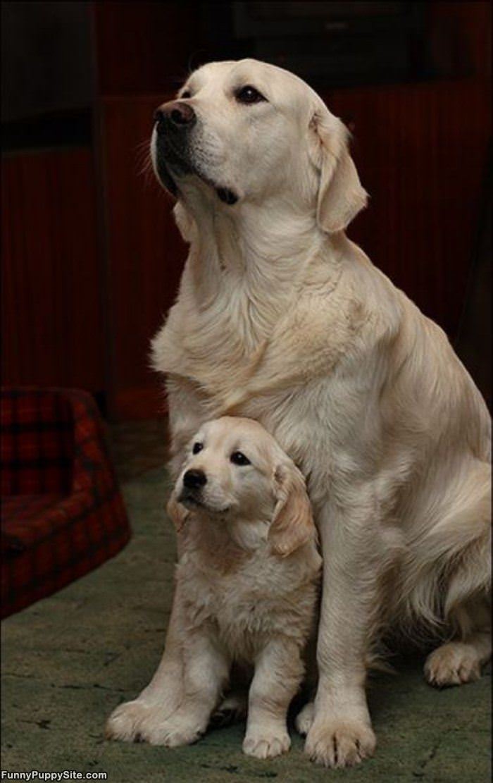 Me And Mini Me