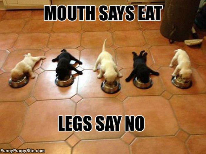 Mouth Says Eat