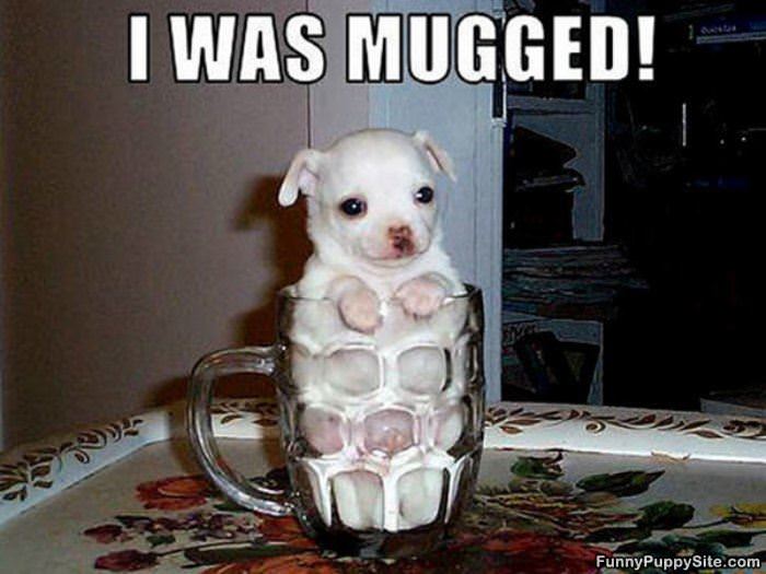 Mugged