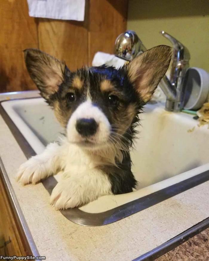 My Bath