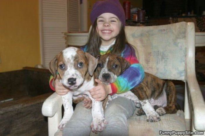 My Cute Puppies