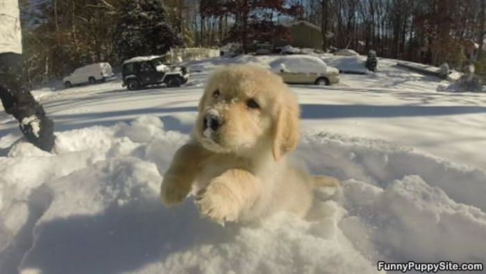 My First Snow