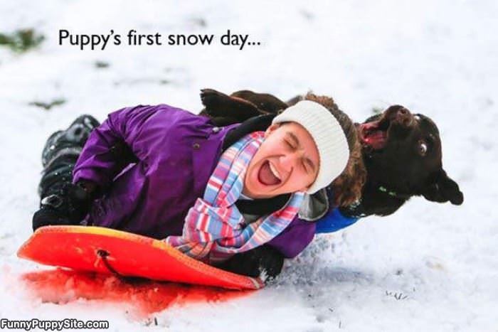 My First Snow Day