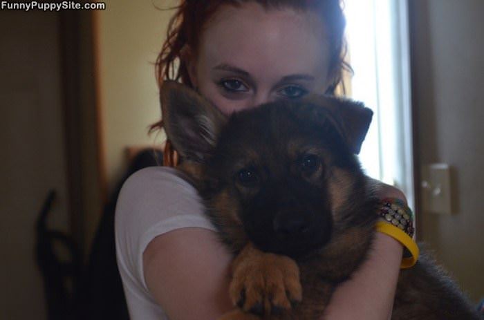 My Fluffy Puppy