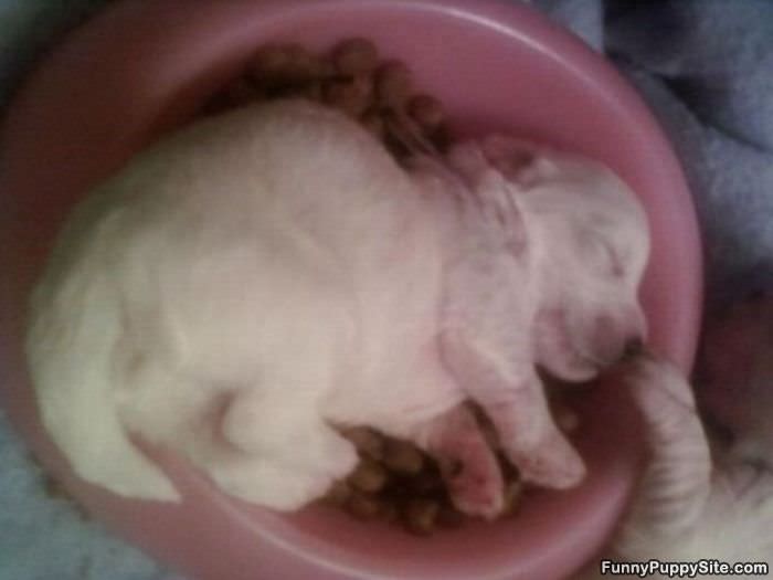 My New Bed