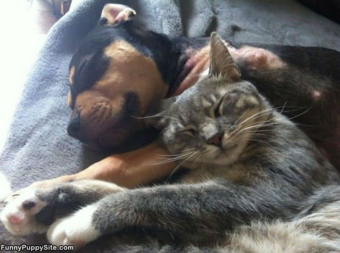 My New Pillow