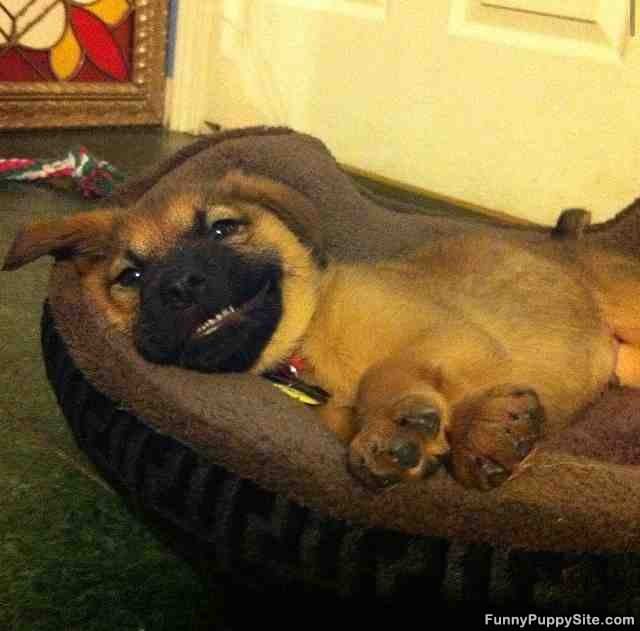 My Smiling Face