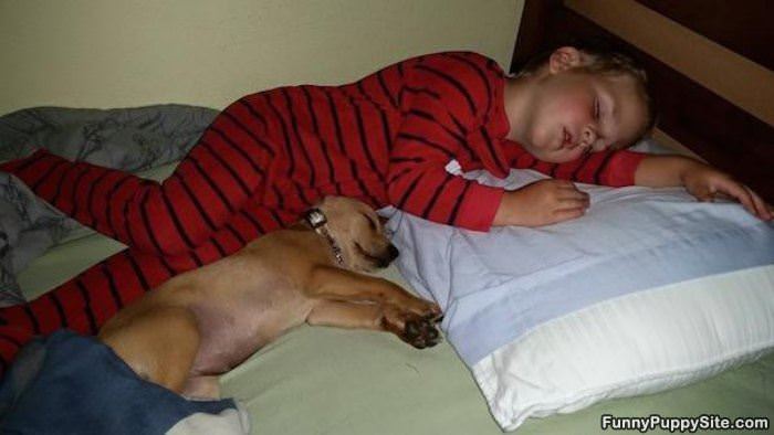 Nap Time Is Serious