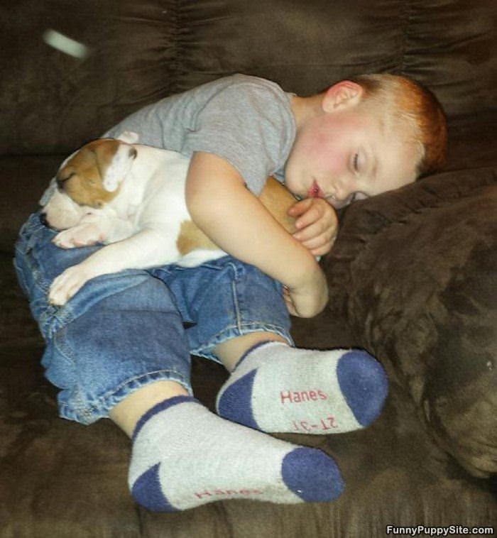 Napping Together