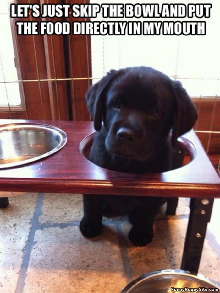 No More Bowls