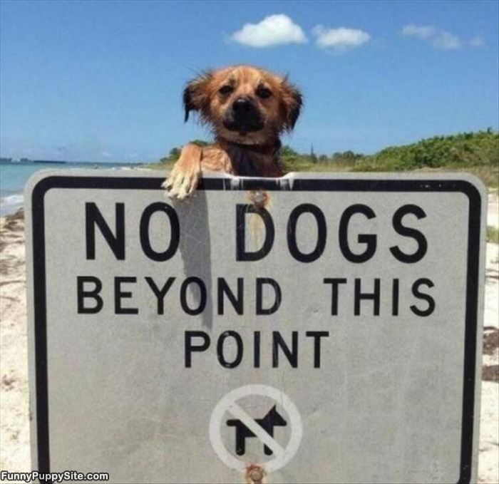 No  Dogs Beyond This Point