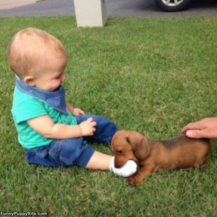 Nom Nom Nom Nom