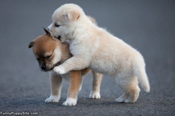 Nom Nom Nom On You