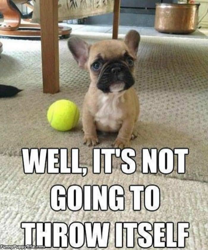 Not Going To Throw Itself
