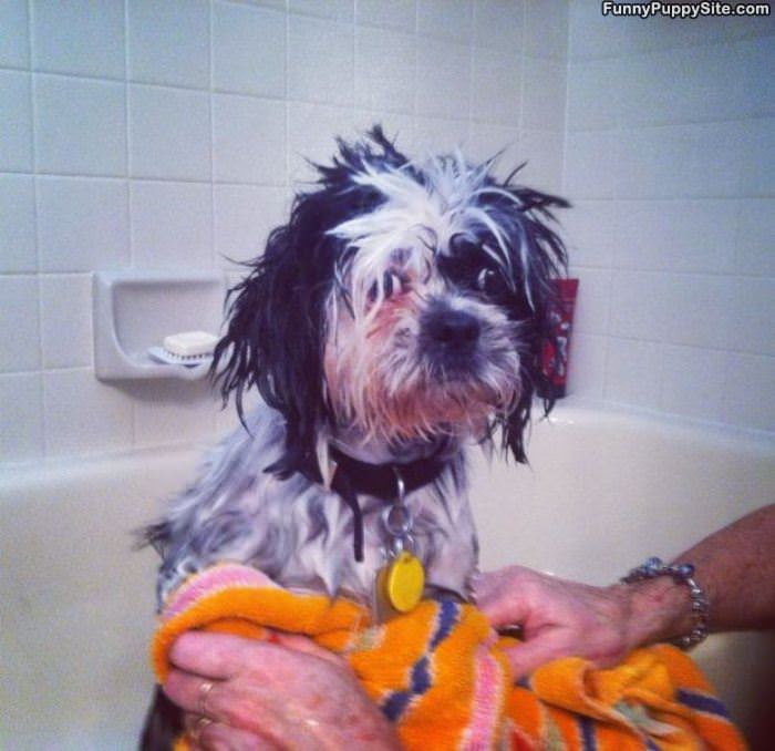 Not Liking My Bath