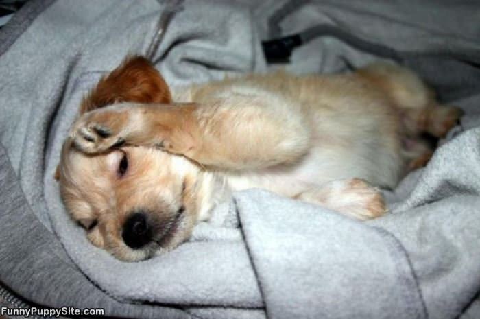 Not Ready To Wake Up Yet
