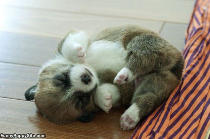 Ohhh So Sleepy